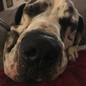 Meet your Posher, Sharon